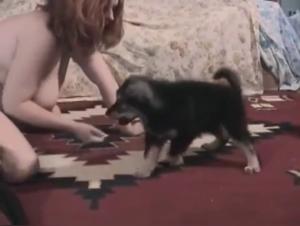 Vovó Gourmande et sa Chienne dans une Vidéo de Sexe Bestialité