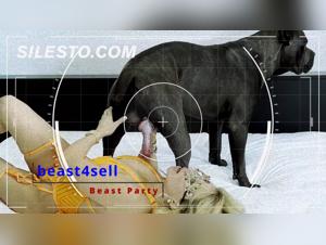 Untangling the Threads: Strayx and Bestiality