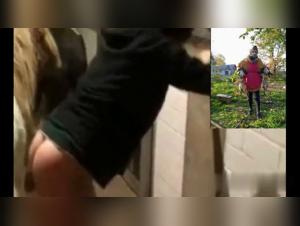 Dog Sex Fantasies: The Unforgettable Couple and the Cat