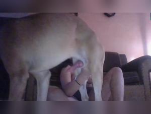 Erotic Video: A beautiful slut fucks a dog from occasion