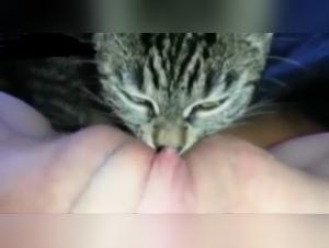 Forbidden Meeting: Woman and Dog