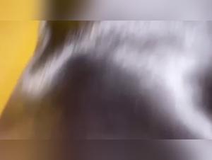 Gay Man and Dog: Sex Video Bestiality Zoophilia