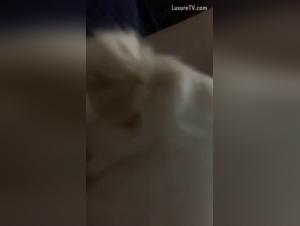  canine ethics and legal boundaries