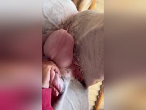 Girls and horses: a forbidden encounter