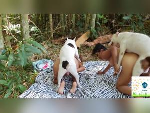 Sex with Dogs Videos - Extreme Bestiality