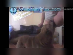 Woman and dog in a zoophilia video