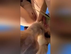 Baising with My Dog: The Secrets of Denise Frazier