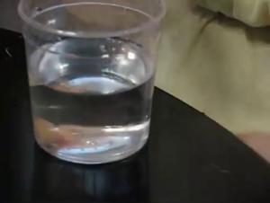 Cassandra und ihr einzigartiges Bestialitatserlebnis