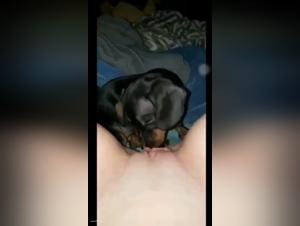 deconstructing bestiality's concept