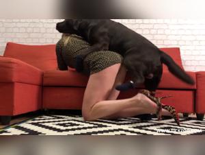 Unveiling Jungle's Dark Secrets