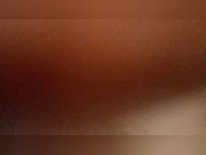 porno zoo bestiality tubes