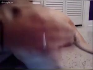 Woman and Dog: A Forbidden Encounter on Video