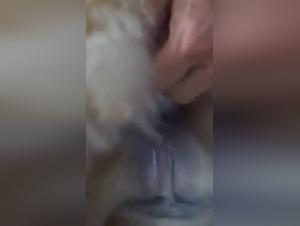 Bestiality with a dog: a teen discovers intense pleasure