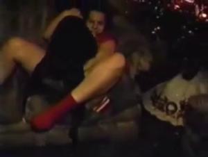 Bestiality sex video: an insatiable female dog