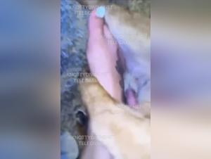 Forbidden Cartoons: Zooville's Allure