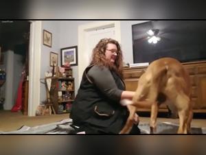 Lesbian Bareback with Dog: Hardcore XXX Compilation
