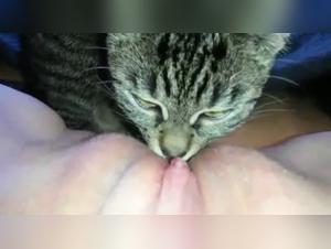 Unusual Encounter - Woman and German Cat