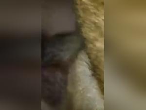 Woman and dog: a story of zoophilia