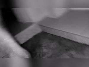 Bestiality Sex Video: A Woman and Her Dog