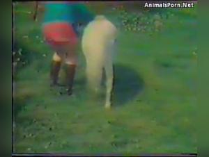 Bodil Joensen - La Reine de la Zoophilie