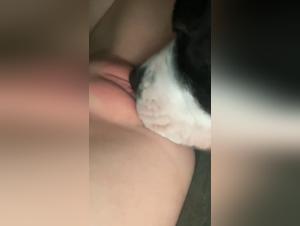 Vintage Sex Videos and Zooophilia