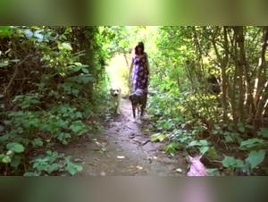 Bestial encounter in the forest: a woman and her two canine companions