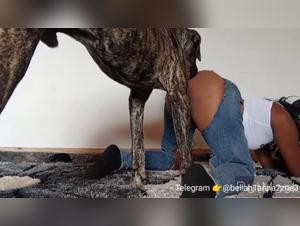 Woman and Dog - A Forbidden Intimacy