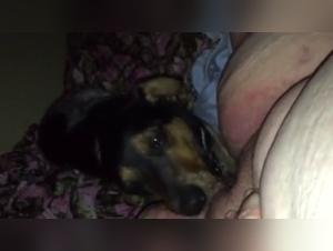 Video of Sex with a Dog