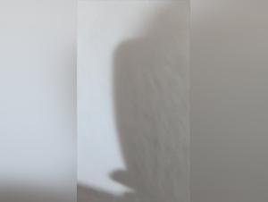 bestiality woman dog