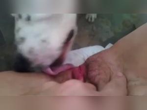 Exciting Encounter: A Woman and Her Dog