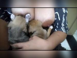 Bestiality: a woman and her dog