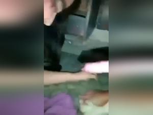 Verbotene Liebe: Mensch und Hund