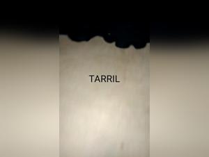 Forbidden Encounters: Bestiality Exposed