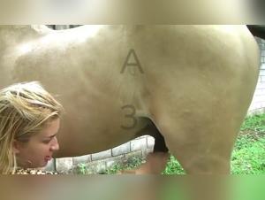 Story of bestiality: a woman and her horse