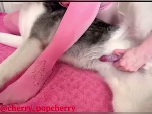 Woman and dog: a bestial encounter - Bestiality sex video