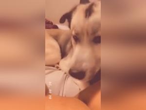 Bestiality: A woman and her dog in a shocking video