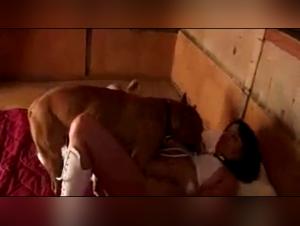 Woman and Dog - An Extreme Bestiality Experience