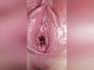 Canine Fellation After Viol and Pachyderm Rape