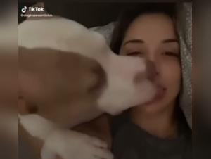 Explorez le monde interdit de la Beastiality