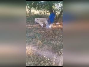 Shock video: Caught in action with his dog